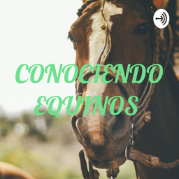 Podcast thumbnail for CONOCIENDO EQUINOS