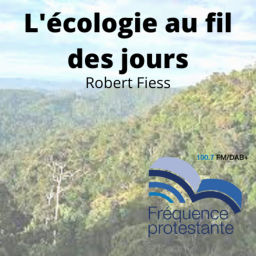 Podcast thumbnail for L'écologie au fil des jours