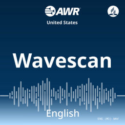 Podcast thumbnail for AWR - Wavescan