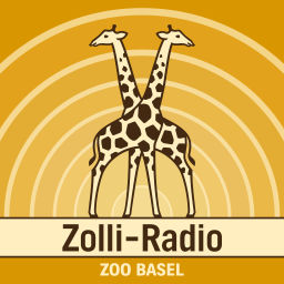 Podcast thumbnail for Zolli-Radio