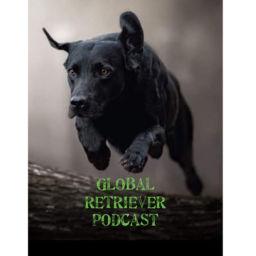 Podcast thumbnail for Global Retriever Podcast