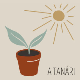 Podcast thumbnail for A Tanári
