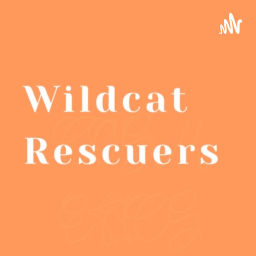 Podcast thumbnail for Wildcat Rescuers