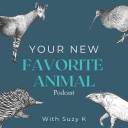 Podcast thumbnail for Your New Favorite Animal Podcast