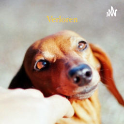 Podcast thumbnail for Verloren auf die Ohren