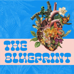 Podcast thumbnail for THE BLUEPRINT WITHIN