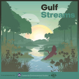 Podcast thumbnail for Gulf Streams