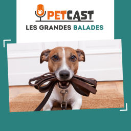 Podcast thumbnail for Les grandes balades 🌳🐾