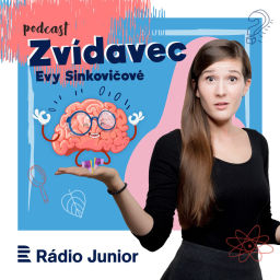 Podcast thumbnail for Zvídavec Evy Sinkovičové