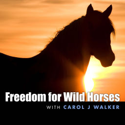 Podcast thumbnail for Freedom for Wild Horses