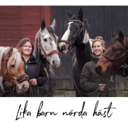 Podcast thumbnail for Lika barn nörda häst