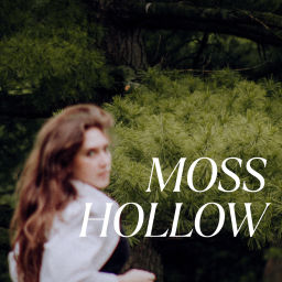 Podcast thumbnail for Moss Hollow