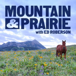 Podcast thumbnail for Mountain & Prairie with Ed Roberson