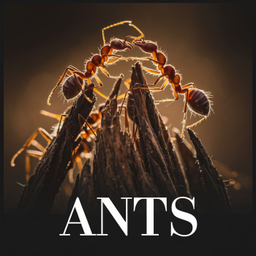 Podcast thumbnail for Ants