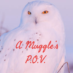 Podcast thumbnail for A Muggle’s P.O.V.