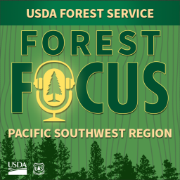 Podcast thumbnail for Forest Focus