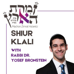 Podcast thumbnail for MZH - Shiur Klali