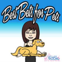Podcast thumbnail for Best Bets for Pets - The latest pet product trends - Pets & Animals - Pet Life Radio Original (PetLifeRadio.com)