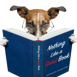 Podcast thumbnail for Nothing Like a Good Book