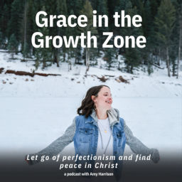 Podcast thumbnail for Grace in the Growth Zone