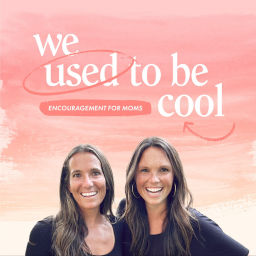 Podcast thumbnail for We Used To Be Cool