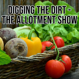Podcast thumbnail for Digging the Dirt - The Allotment Garden Show