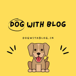 Podcast thumbnail for Dog with Blog