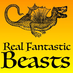 Podcast thumbnail for Real Fantastic Beasts