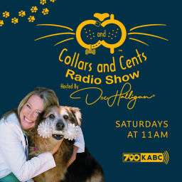 Podcast thumbnail for Collars And Cents
