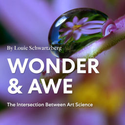Podcast thumbnail for Wonder And Awe