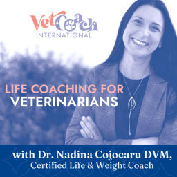 Podcast thumbnail for Life Coaching for Veterinarians