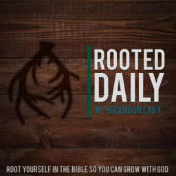 Podcast thumbnail for Rooted Daily with Brandon Lavy