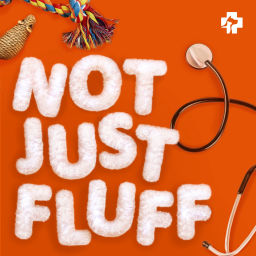 Podcast thumbnail for Not Just Fluff: Pet wellness from the pros at Banfield Pet Hospital