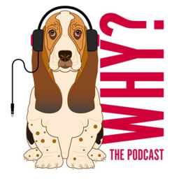 Podcast thumbnail for Why? The Podcast