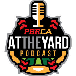 Podcast thumbnail for AT THE YARD PODCAST