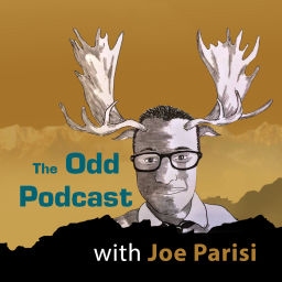 Podcast thumbnail for The Odd Podcast with Joe Parisi