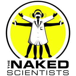 Podcast thumbnail for The Naked Scientists Podcast