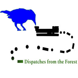 Podcast thumbnail for Dispatches from the Forest