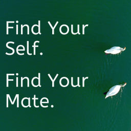Podcast thumbnail for Find Your Self. 
Find Your Mate.