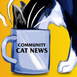 Podcast thumbnail for Community Cat News