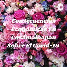 Podcast thumbnail for Consecuencias Económicas En Cosamaloapan Sobre El Covid-19