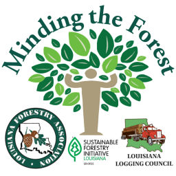 Podcast thumbnail for Minding the Forest
