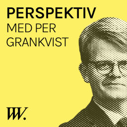 Podcast thumbnail for Perspektiv - med Per Grankvist