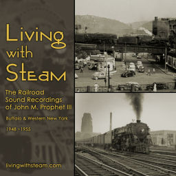 Podcast thumbnail for Living with Steam