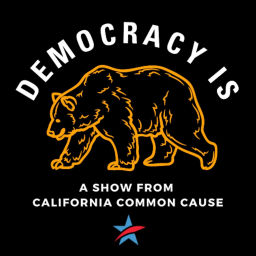 Podcast thumbnail for Democracy Is