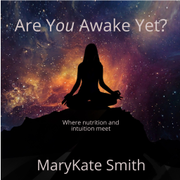 Podcast thumbnail for Are You Awake Yet?