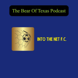 Podcast thumbnail for Into The Net F.C.