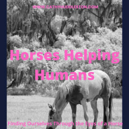 Podcast thumbnail for Horses Helping Humans