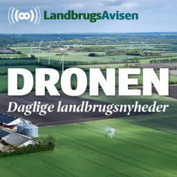 Podcast thumbnail for Dronen – landbrugsnyheder alle hverdage fra LandbrugsAvisen