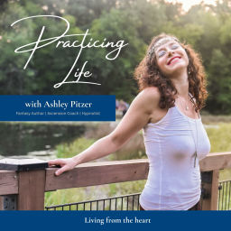 Podcast thumbnail for Practicing Life Podcast